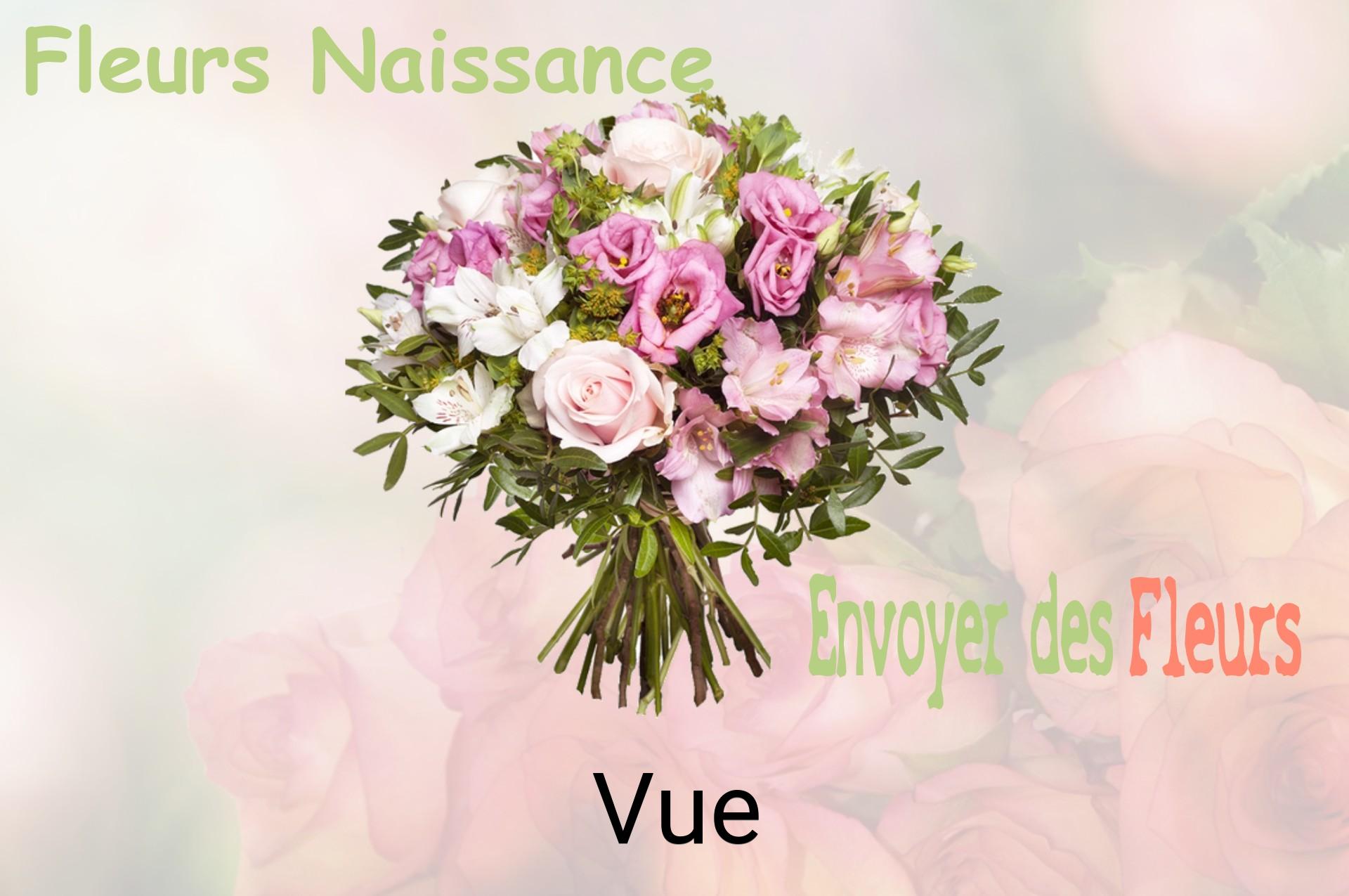 Bouquet de fleurs de naissance livré à Vue
